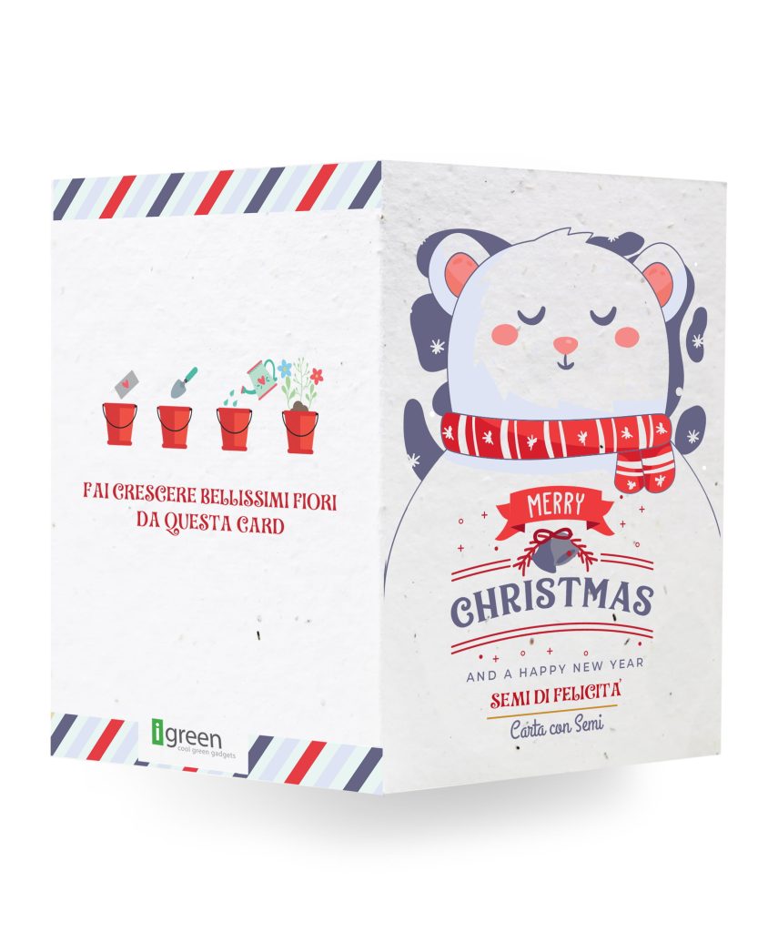 auguri-piantabili-christmas-orso