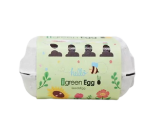 seed eggs - Ovetto di quaglia per Negozianti & Retailers