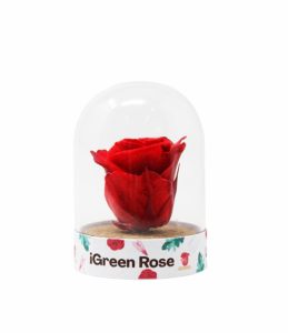 iGreen Rose con etichetta