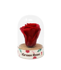 iGreenRose-Rosso