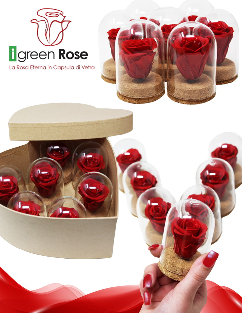 iGreen Rose blog