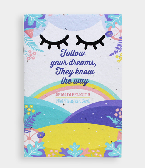 Mini Notes Follow Your Dreams 494x573