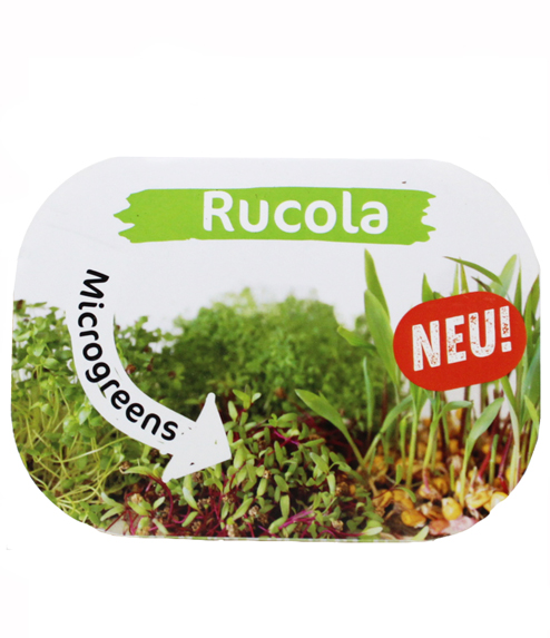 Microgreens Rucola 494x573